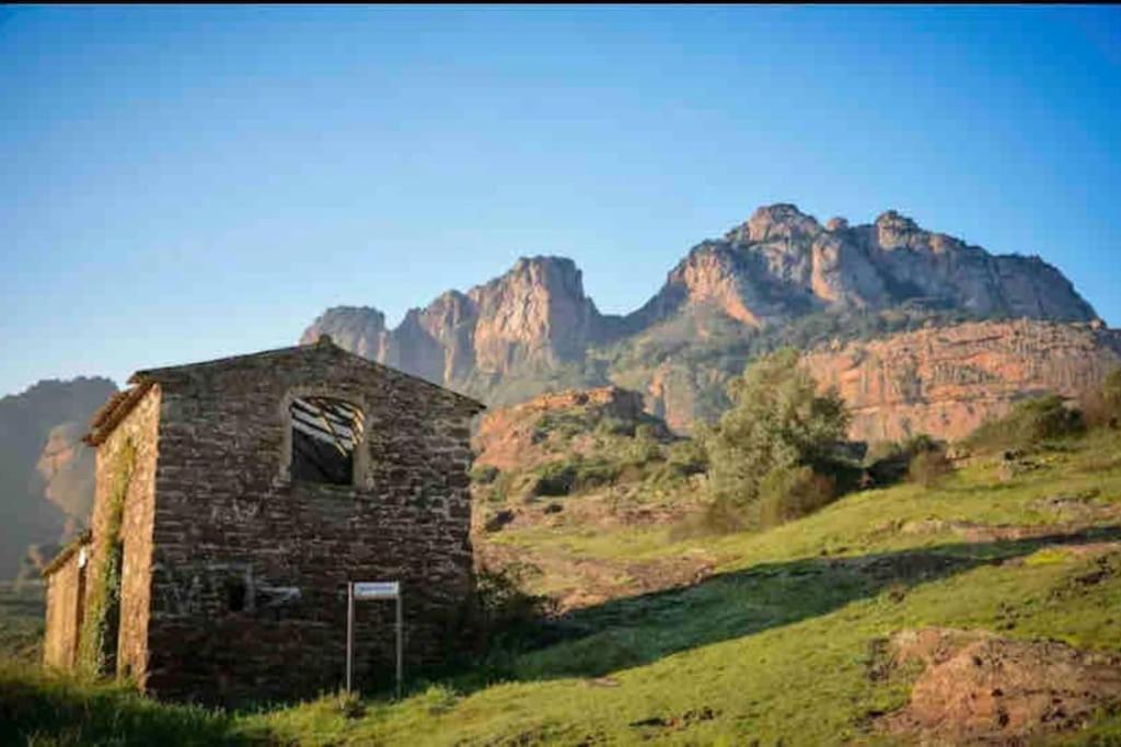 Villa Alisa Avec Piscine Privee Roquebrune-sur-Argens Eksteriør bilde