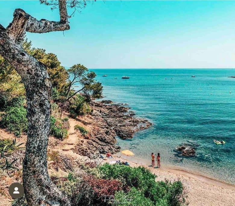 Villa Alisa Avec Piscine Privee Roquebrune-sur-Argens Eksteriør bilde