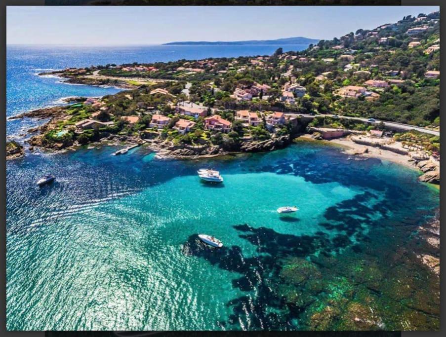 Villa Alisa Avec Piscine Privee Roquebrune-sur-Argens Eksteriør bilde